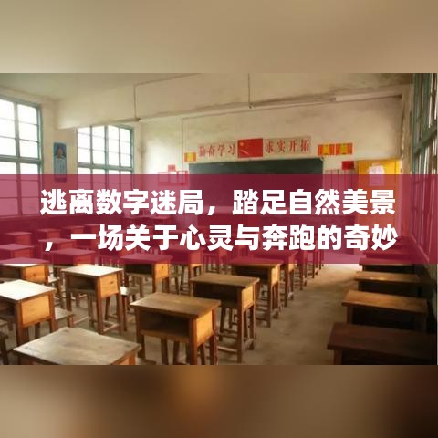 心灵奔跑之旅，从数字迷局到自然美景的奇妙之旅