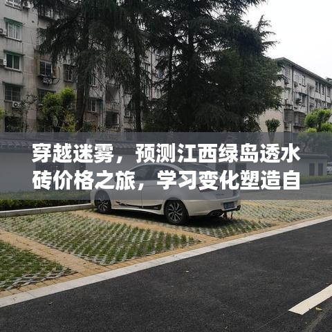 穿越迷雾，探索江西绿岛透水砖价格之旅，塑造自信与成就之路