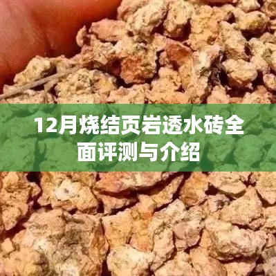 12月烧结页岩透水砖全面评测及介绍指南