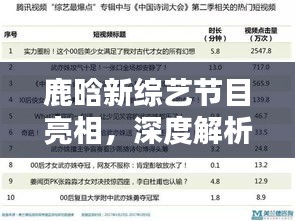 鹿晗新综艺节目深度解析与全方位体验报告，亮点、竞品对比及用户群体分析