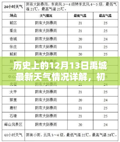 历史上的12月13日禹城天气回顾与详解，初学者指南