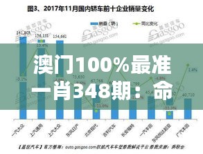 澳门100%最准一肖348期：命理算法的现代应用