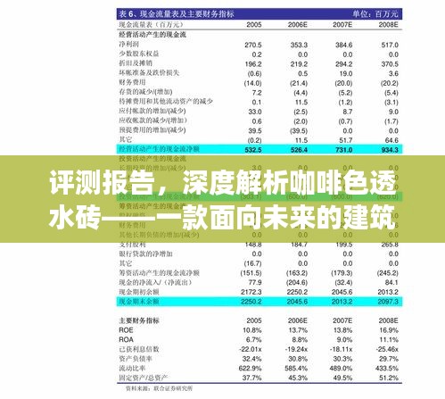 深度评测，咖啡色透水砖——未来建筑材料的佼佼者（2024年12月版）