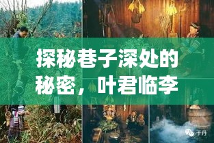 探秘巷子深处的秘密，叶君临李子染最新章节探秘背后的故事