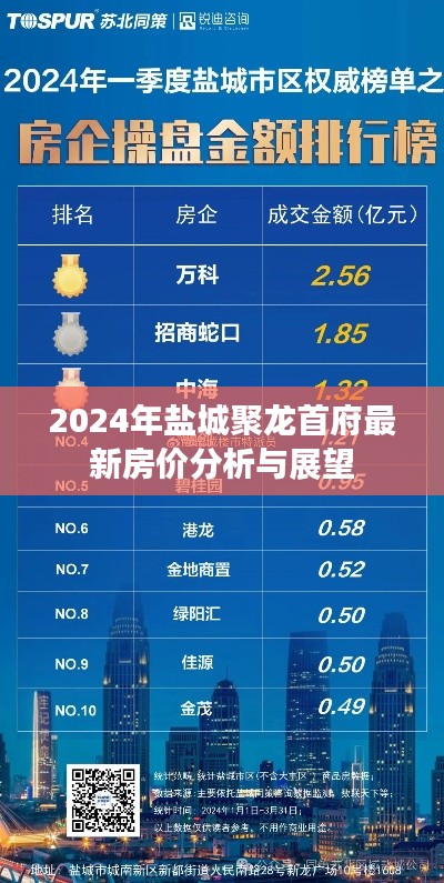 2024年盐城聚龙首府房价分析与展望