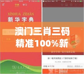 澳门三肖三码精准100%新华字典349期：精准预测的艺术与科学