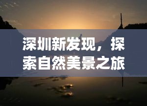 深圳自然探索之旅，寻内心宁静与笑声的新发现