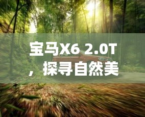 宝马X6 2.0T，自然之旅探寻内心力量