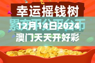 12月14日2024澳门天天开好彩大全开奖结果：澳门赌场的辉煌时刻