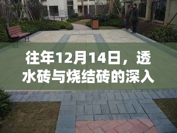 往年12月14日深度解析，透水砖与烧结砖对比解析