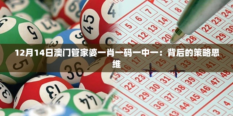 12月14日澳门管家婆一肖一码一中一：背后的策略思维