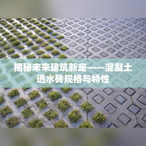 揭秘未来建筑新宠，混凝土透水砖的规格与特性解析