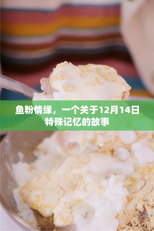 鱼粉情缘，特殊记忆中的故事，纪念12月14日