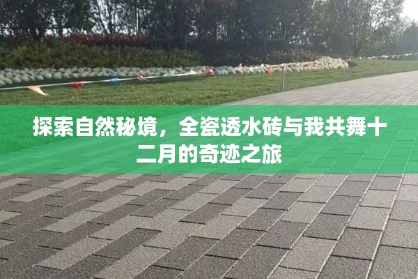 全瓷透水砖与我共探十二月自然秘境奇迹之旅