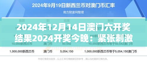 2024年12月14日澳门六开奖结果2024开奖今晚：紧张刺激的揭晓