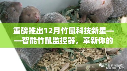 重磅推出，智能竹鼠监控器——革新竹鼠养殖，引领生活体验新纪元！