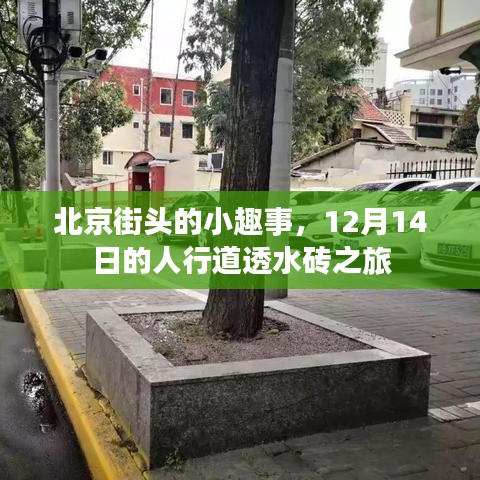 北京街头小趣事，探寻人行道透水砖之旅的奇遇