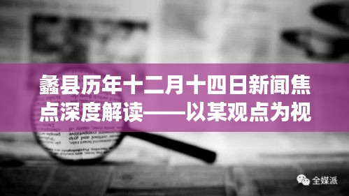 蠡县十二月十四日新闻焦点深度解读，某视角下的观点论述