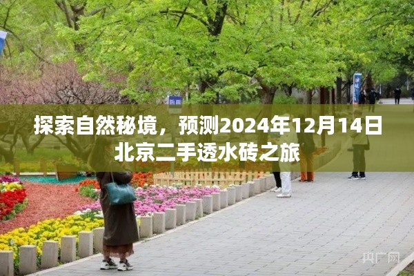 揭秘自然秘境，北京二手透水砖之旅预测报告（2024年12月14日）