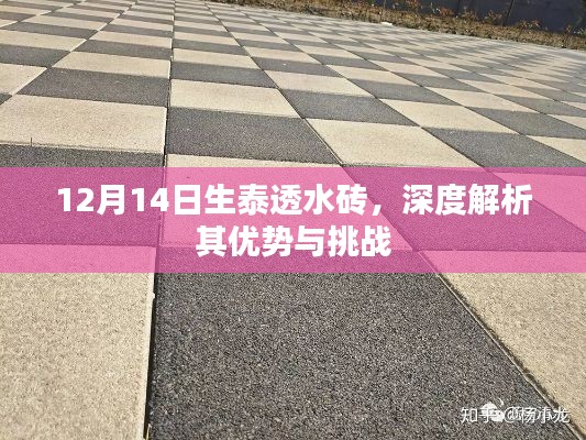 深度解析，生泰透水砖的优势与挑战 —— 12月14日观察报告