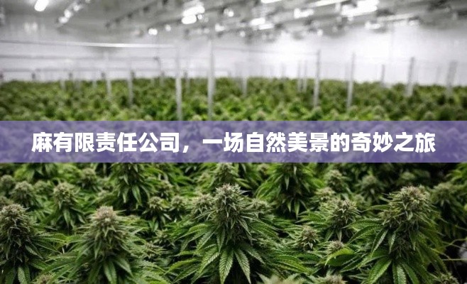 麻有限责任公司，自然美景的梦幻之旅