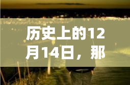 历史上的十二月十四日，悲伤旋律中的情感深度探索