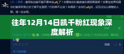 凯千粉红现象深度解析，历年12月14日的回顾与洞察