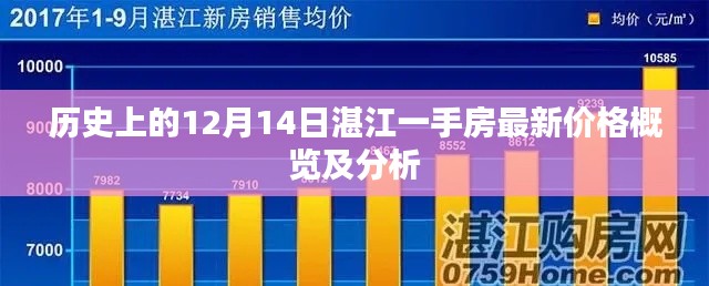 湛江一手房最新价格概览及分析，历史视角的12月14日观察