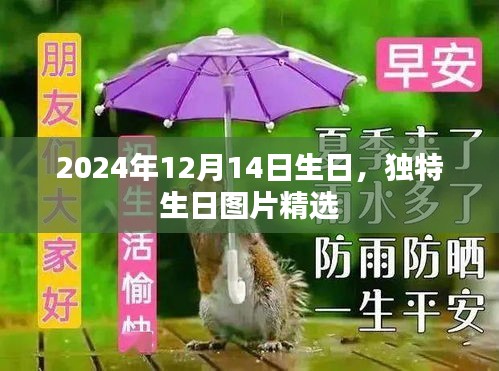 2024年12月14日生日独特图片精选