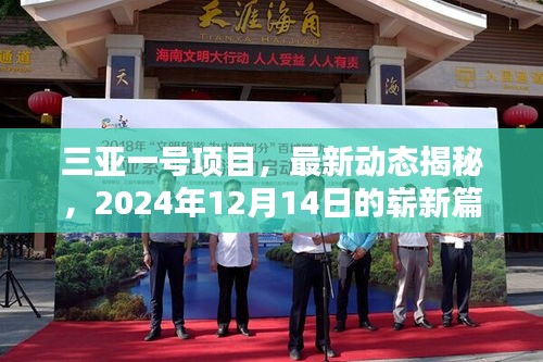 三亚一号项目揭秘，2024年崭新篇章的最新动态展望