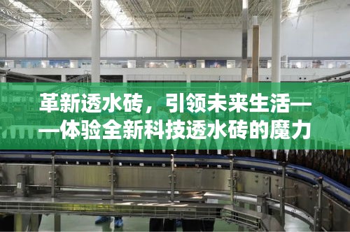 革新透水砖技术，引领未来生活新体验——科技透水砖的魅力时刻