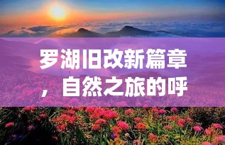 罗湖旧改新篇章，心灵宁静港湾的自然之旅启程