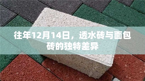 往年12月14日，透水砖与面包砖独特差异解析