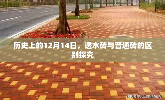 历史上的12月14日，透水砖与普通砖的区别探究