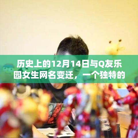 透过历史镜头，12月14日与Q友乐园女生网名变迁的独特观察