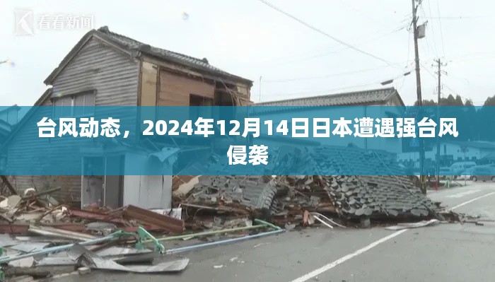 日本遭遇强台风袭击，最新台风动态报告（2024年12月14日）