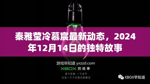 秦雅莹与冷慕宸，2024年12月14日的独特故事揭秘