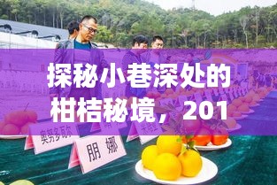 探秘小巷深处的柑桔秘境，2017年新品种柑桔悉数亮相