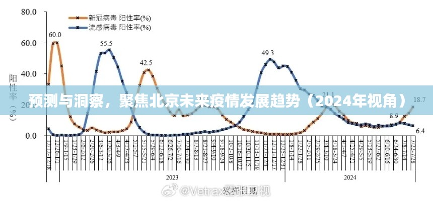 聚焦北京未来疫情发展趋势预测与洞察（2024年视角）