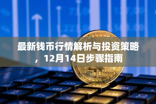 最新钱币行情解析与投资策略，12月14日行动指南