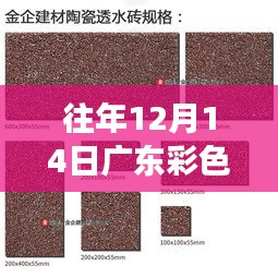 广东彩色透水砖市场走势与价格分析——历年12月14日观察报告