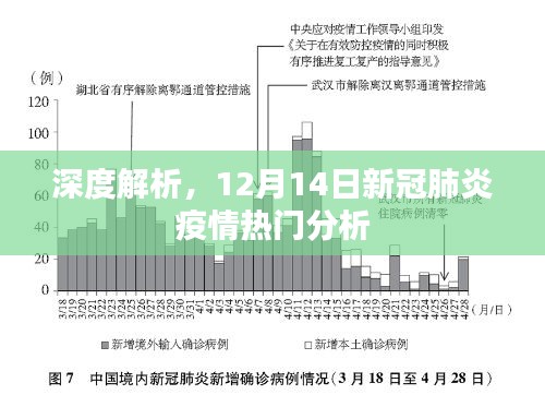 深度解析，新冠肺炎疫情最新热门分析（12月14日）