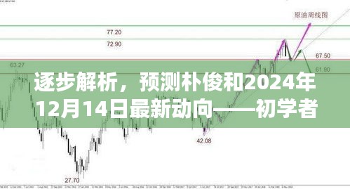 朴俊最新动向解析，逐步预测与指南——初学者与进阶者的指南（2024年12月14日更新）