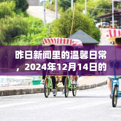 昨日新闻中的趣事与友情，温馨日常的回忆，2024年12月14日