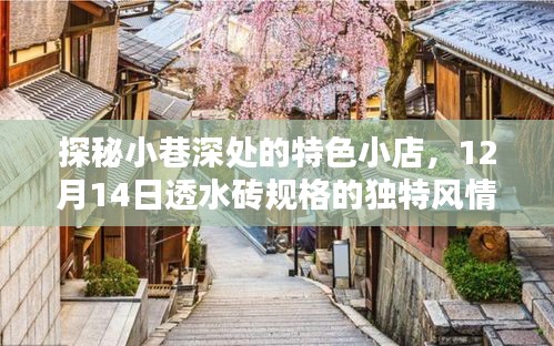 探秘小巷特色小店，透水砖规格的独特风情揭秘（12月14日）