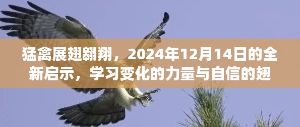 猛禽展翅翱翔，启示的力量与自信之翼——学习变化的力量与自信的翅膀，迎接全新未来（2024年启示）