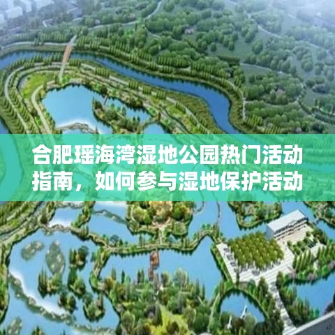 合肥瑶海湾湿地公园活动指南，如何轻松参与湿地保护活动（初学者篇）