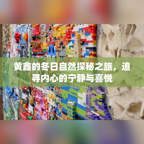 黄鑫的冬日探秘之旅，追寻内心宁静与喜悦的自然之旅