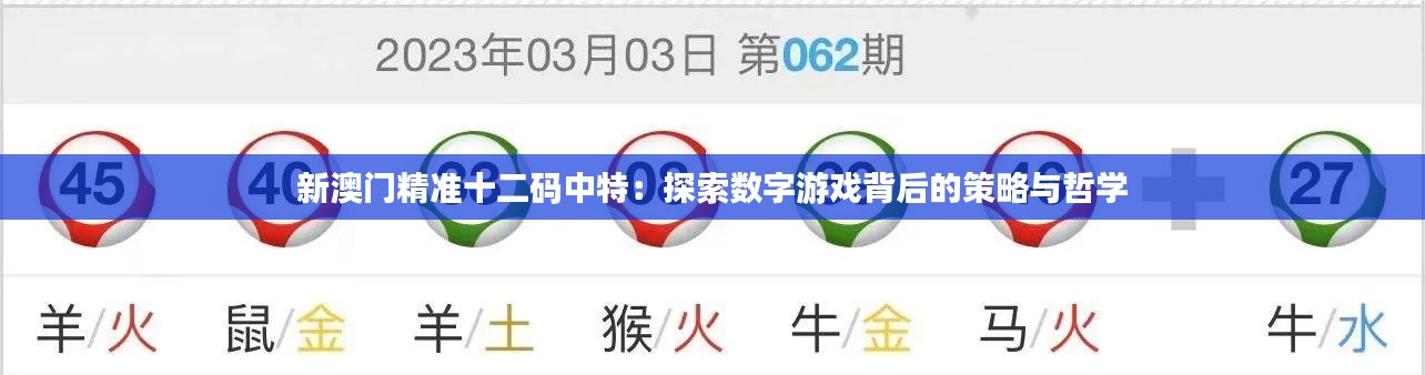 新澳门精准十二码中特：探索数字游戏背后的策略与哲学