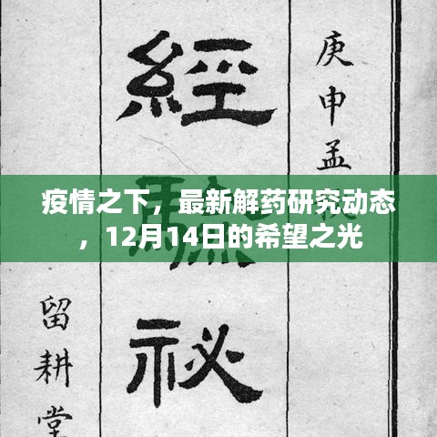 疫情之下，最新解药研究动态与12月14日的希望之光